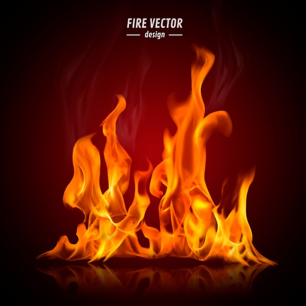 Vector burning fire in orange tone