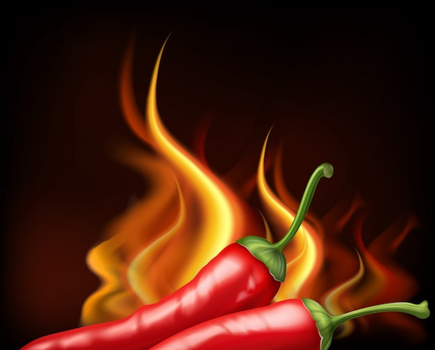 Burning fire with two hot chilies