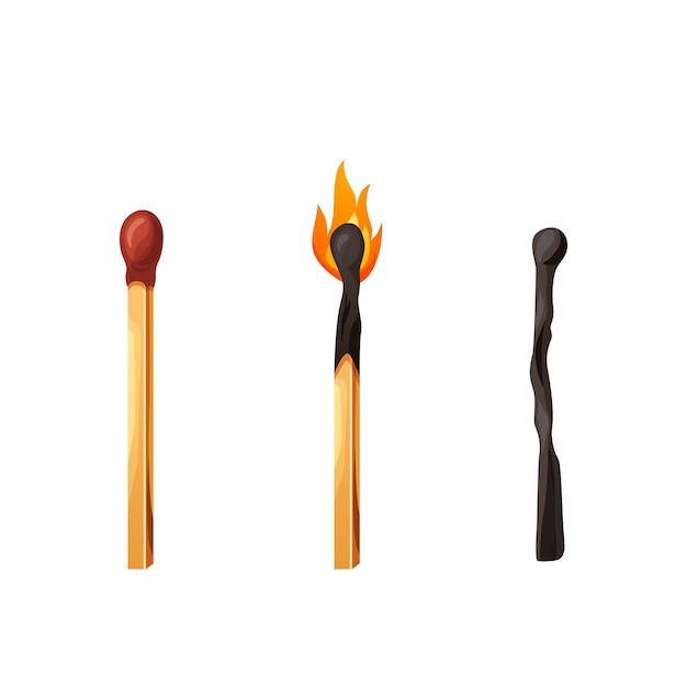 Burnt match stick with fire Whole ignite wooden matchstick Cartoon safety isolated on white Vector