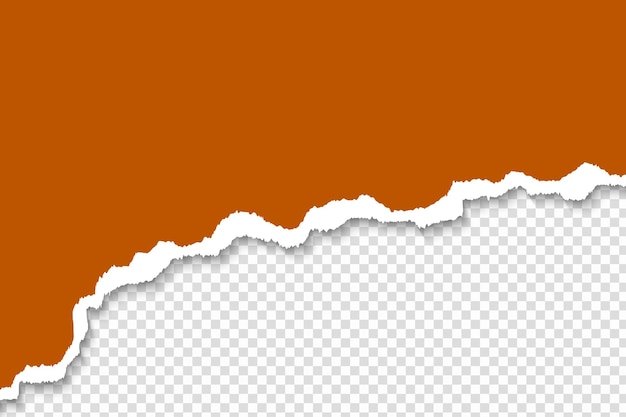 Vector burnt orange torn paper background