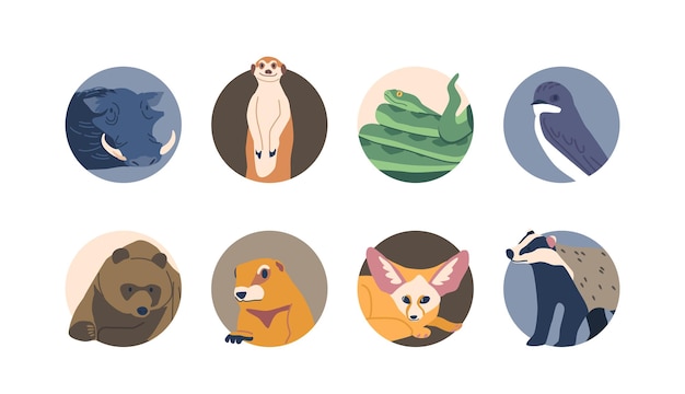 Burrowing animals isolated round icons or avatars warthog meerkat badger and groundhog fennec bear swallow and snake wildlife creatures cartoon vector illustration set