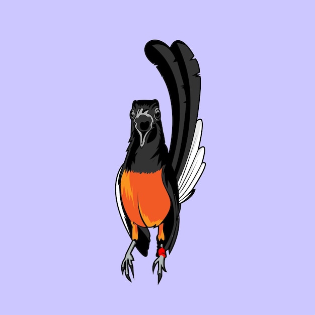 Vector burung murai batu magpie indonesian bird