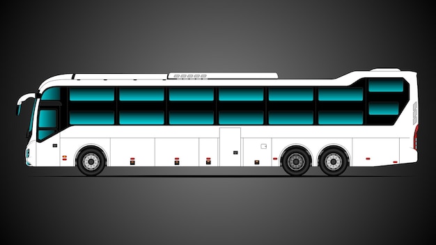 Bus model