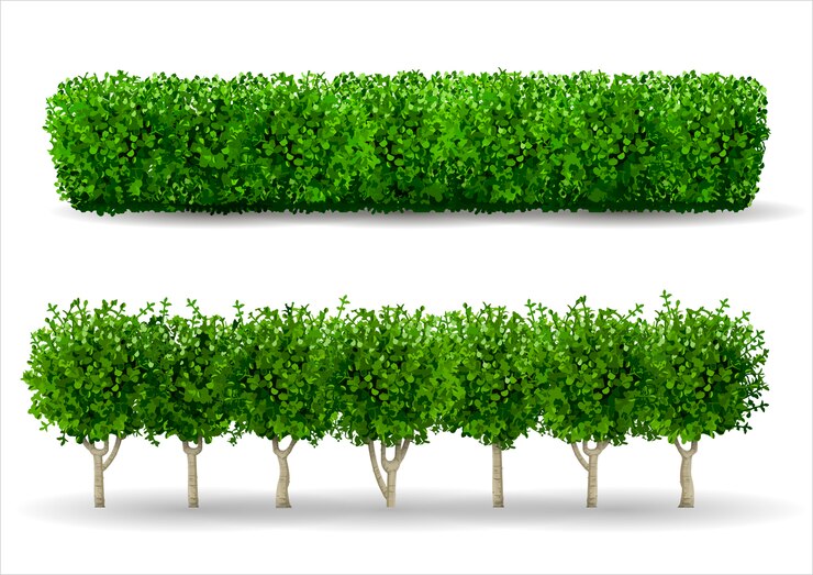 Vector bush in de vorm van een groene haag