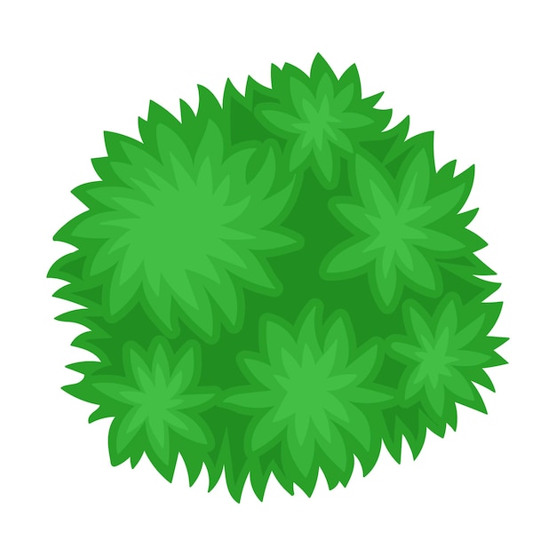 Vector bush view from above vector illustration on a white background