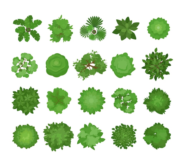 bushes trees top view nature greens landscapes set different plants and leaves vector cartoon trees view from above