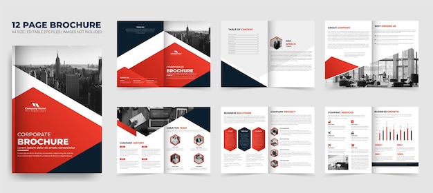 Business Brochure template corporate brochure design or company profile booklet catalog