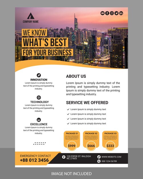 Business flyer design template