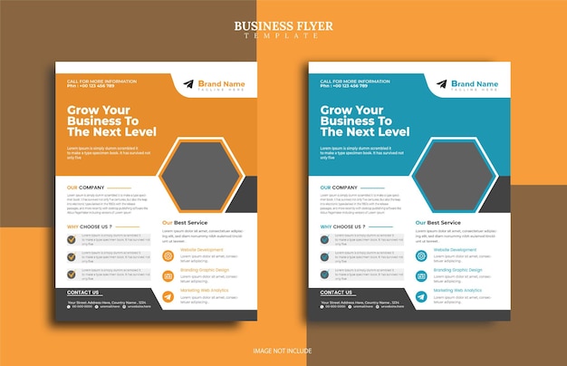 Vector business flyer template