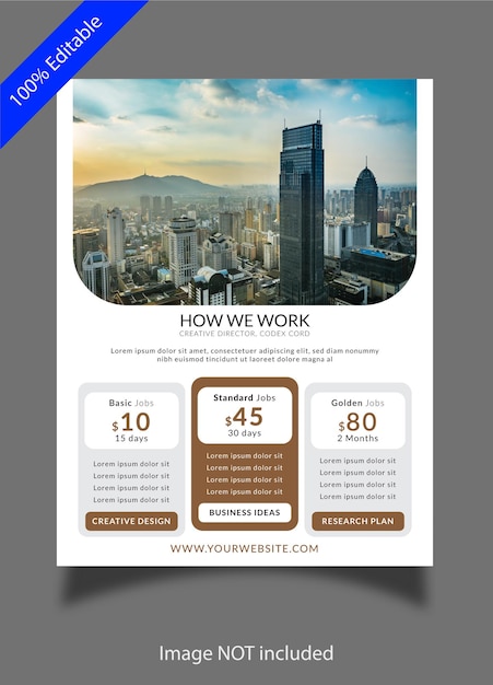 Business flyer with subscription info template