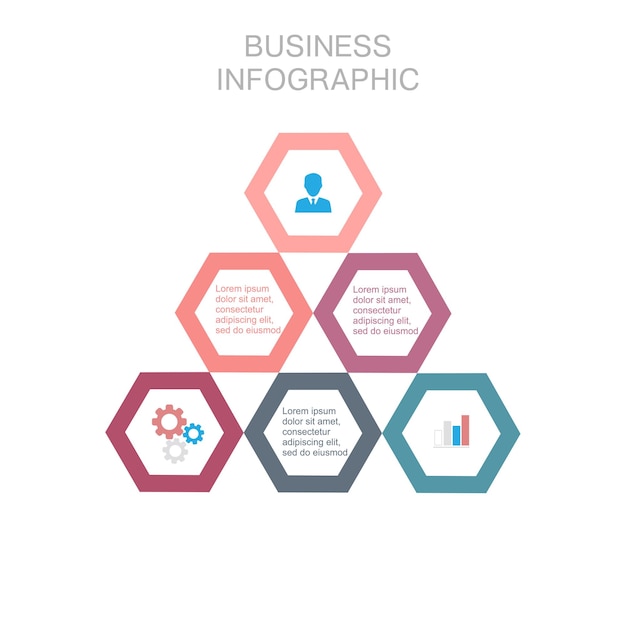 Business infographic hexagon flat design on white background