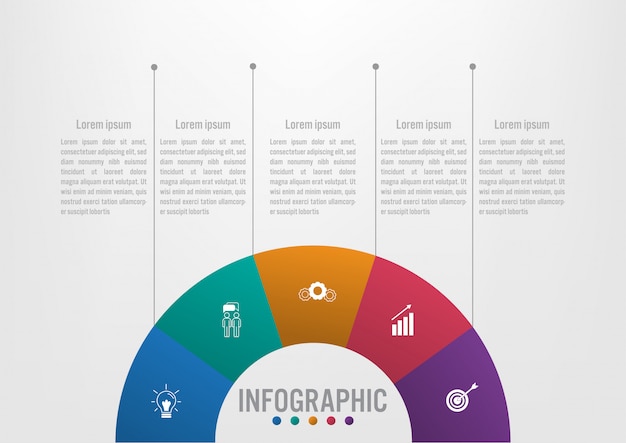 5 옵션 비즈니스 infographic 템플릿