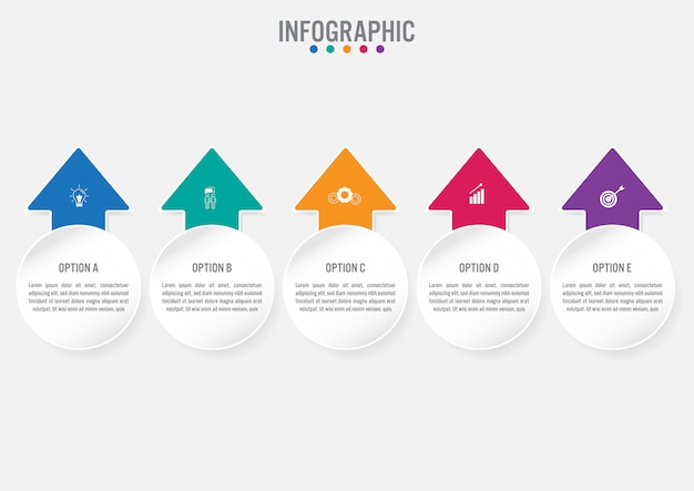 5 옵션 비즈니스 Infographic 템플릿