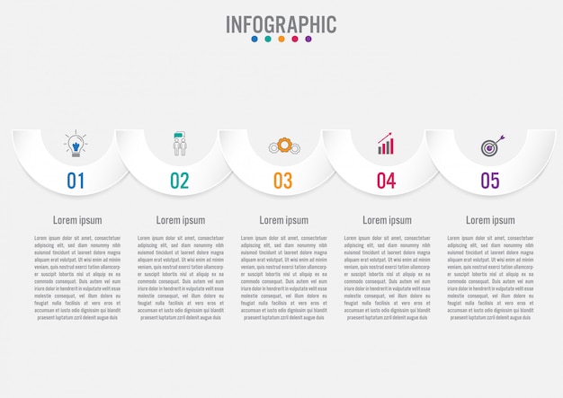 Business infographic template