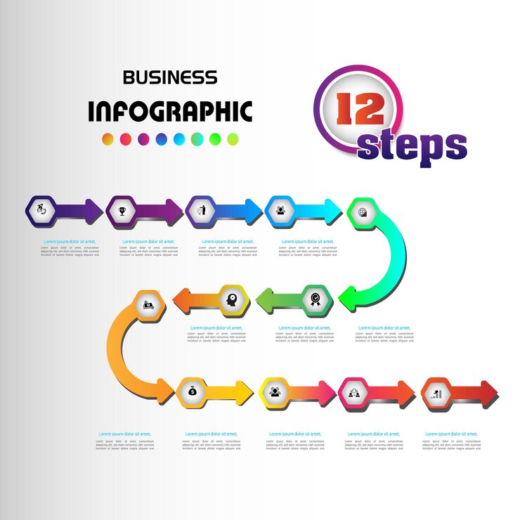 Vector business infographic vector with 12 steps used for presentationinformationeducationmarketing