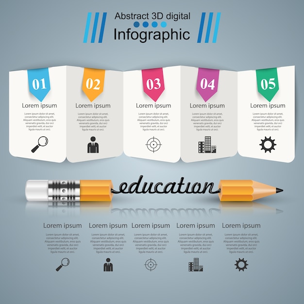 Vector business infographics on education