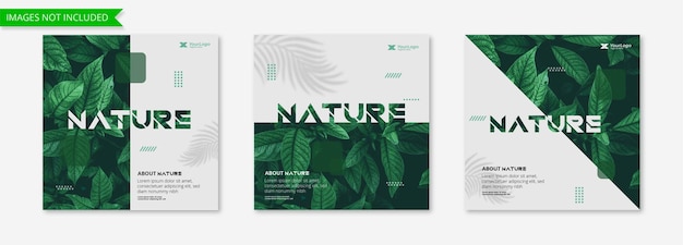 Business marketing nature social media instagram post template