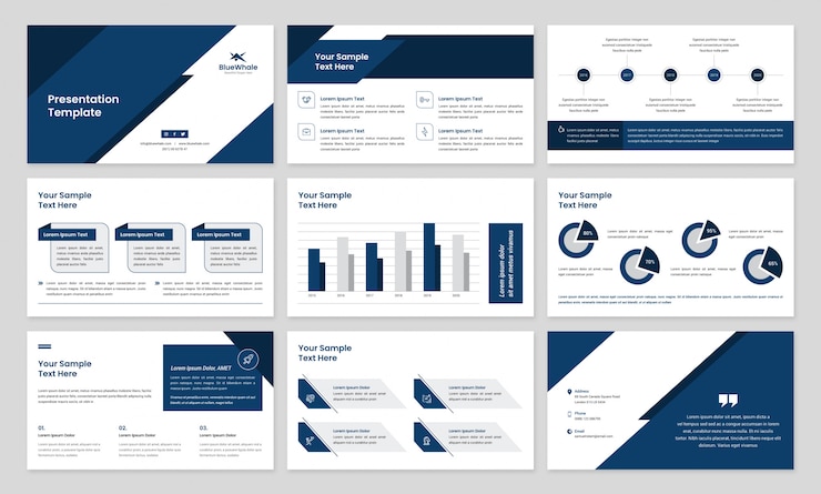 Vector business presentation with infographic elements