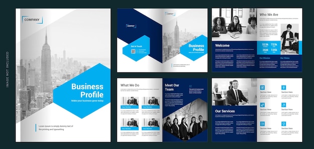 Business profile brochure design