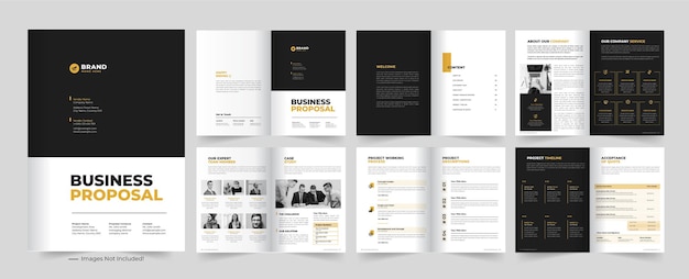 Business Proposal Template or Project  Proposal Template Design