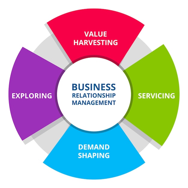 Vector business relationship management value harvesting servicing demand shaping exploring in diagram flat style