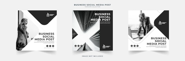 Business social media post template collection