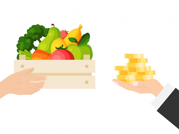 Businessman hand hold cash money, gold coin buy locally grown food isolated on white,   illustration. Harvest basket vegetable fruit.