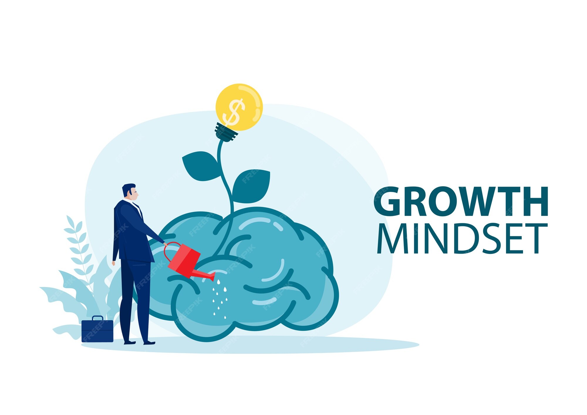 Cognitive Strategies and Mindset