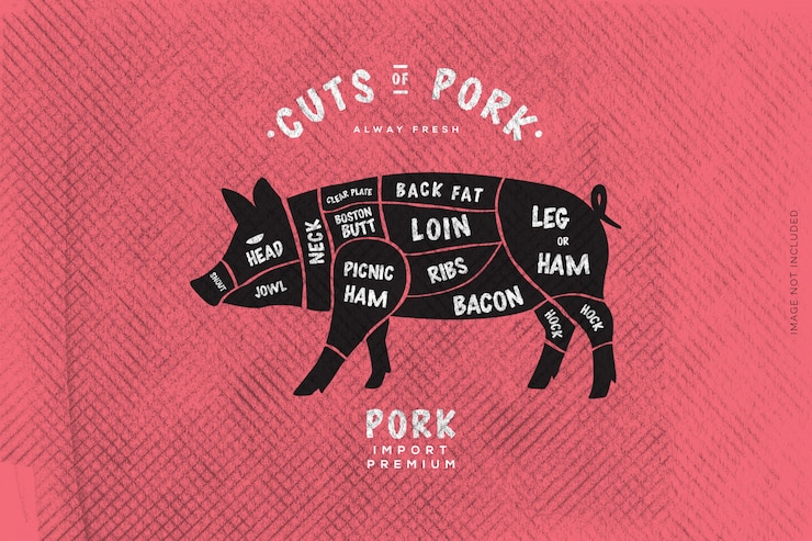 Vector the butcher's guide, cut of beef