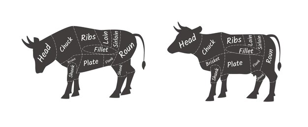 Vector butcher shop cow agricultural meat farmers market diagram butcher pets cow