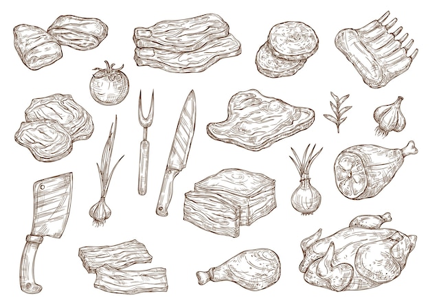 Vector butcher shop meat and barbecue cooking sketch