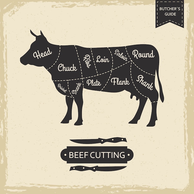 Vector butchers library vintage page - beef cutting  poster design