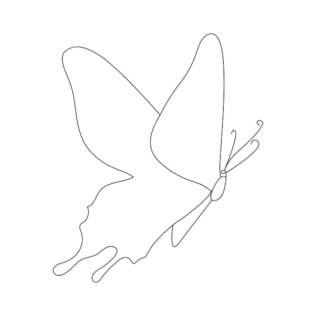 Buterfly one single line art Drawing Vector hand drawn illustration
