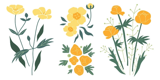 Вектор Лютик и globeflower желтые цветы летняя иллюстрация листья растений дизайн для вашего бренда векторный клипарт ручной работы на изолированном белом фоне шаблон для плаката открытки