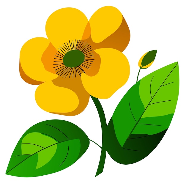 Vector buttercup wild flower with green leaves