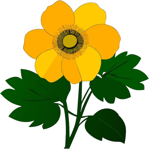 Vector buttercup wilde bloem met groene bladeren