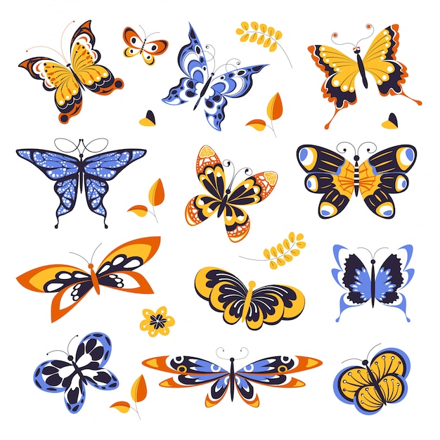 Butterflies, animals or insects with ornament on wings