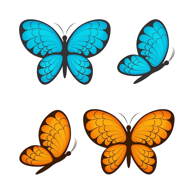 Vector butterflies collection of butterflies of different colors a set of blue and yellow butterflies butterflies side view and top view vector illustration