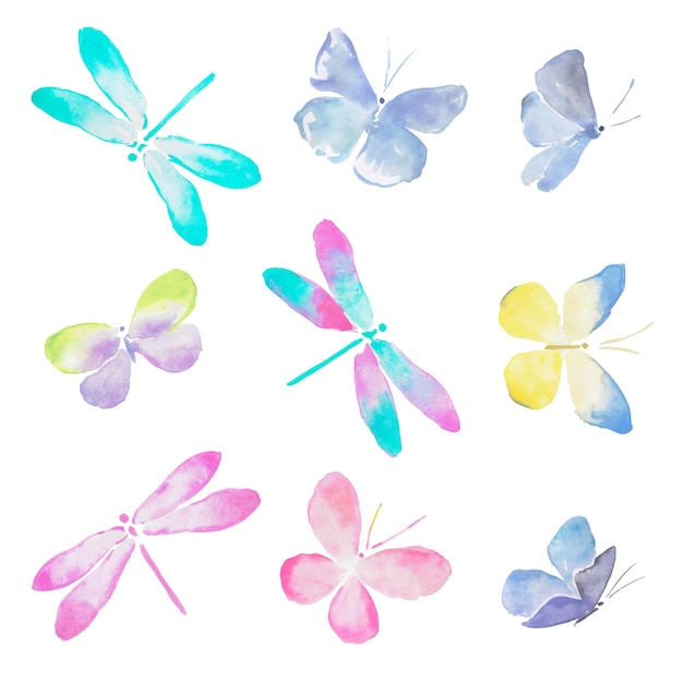 Illustrazione variopinta della libellula della farfalla dell'acquerello delle libellule e delle farfalle