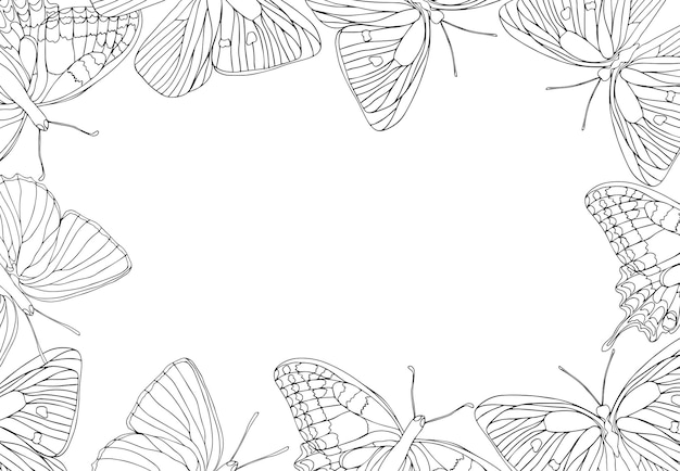 Vector butterflies in a frame with butterflies on it and a place for text