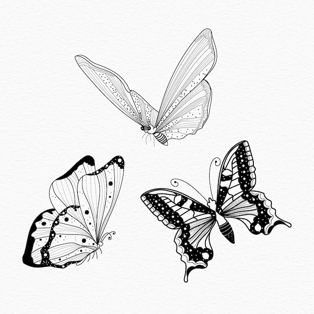 Vector butterflies line art illustration