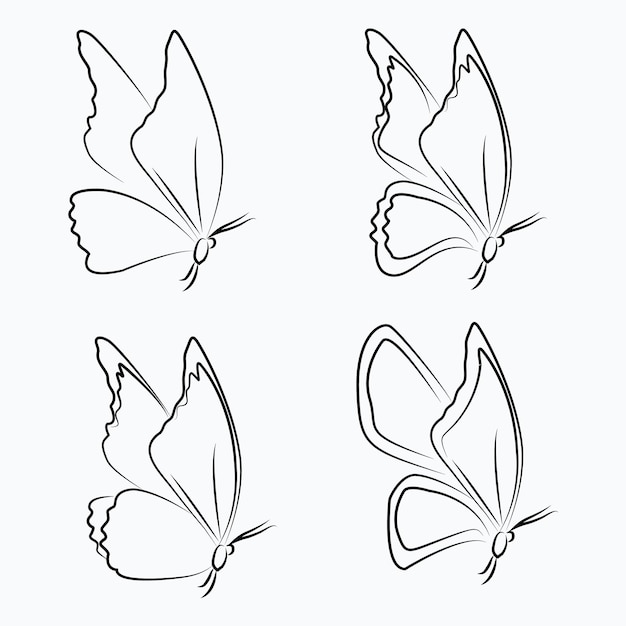 Vector butterflies line art illustration