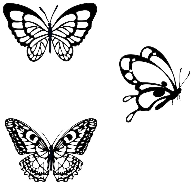 Vector butterflies outline