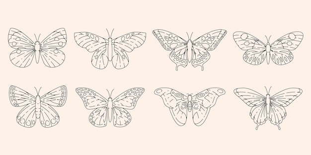 Butterflies set in outline design