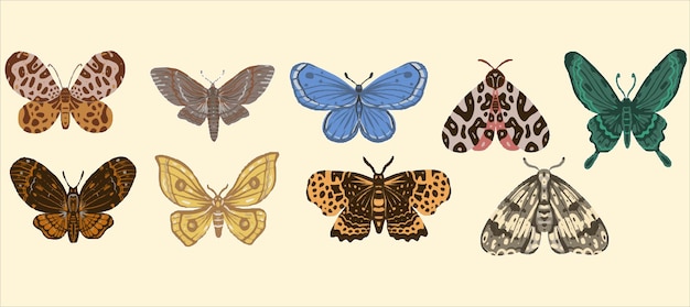 Farfalle set vintage retrò stile scandinavo boho natura insetti disegnati a mano luminoso colorato