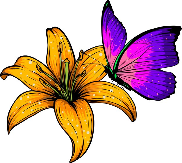 Vector butterflly and flower vector illustration