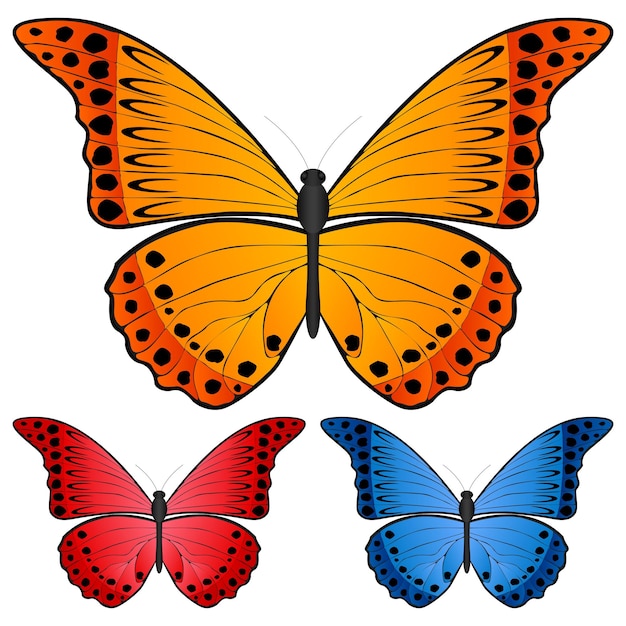 Vector butterfly 4