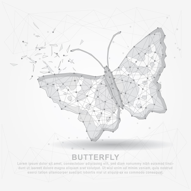 Butterfly abstract mesh line and composition digitally drawn wire frame