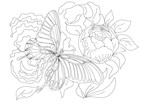 蝶と花牡丹昆虫動物ぬりえ子供のためのグラフィックイラスト手描き