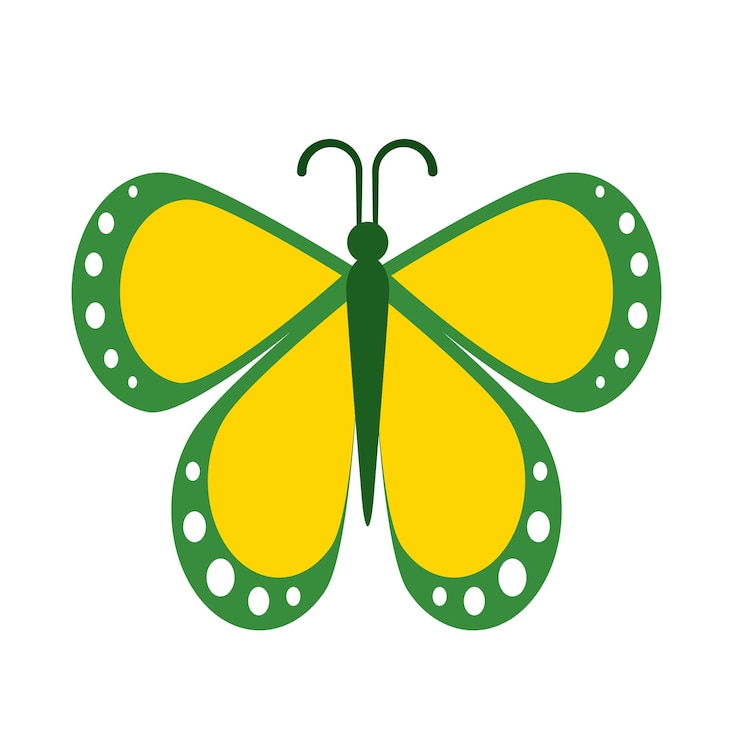 वेक्टर butterfly animal vector illustration icon image